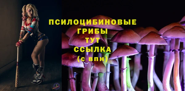 PSILOCYBIN Алексеевка