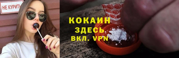 стафф Алексин