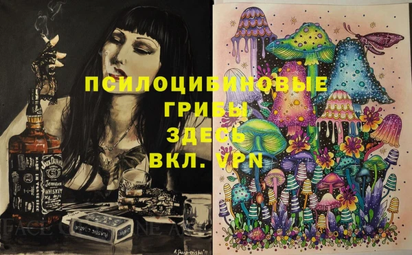 стафф Алексин