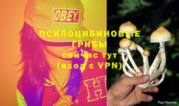 мет Алзамай