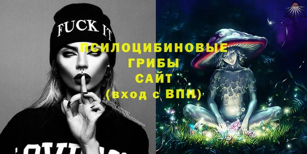 PSILOCYBIN Алексеевка