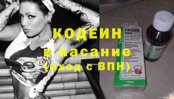 стафф Алексин