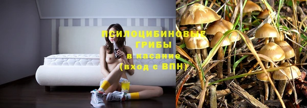 стафф Алексин