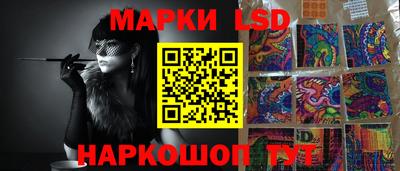 мдпв Кингисепп