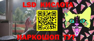 мдпв Кингисепп