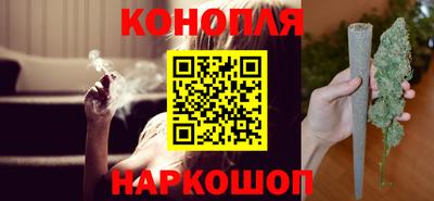 мдпв Кингисепп