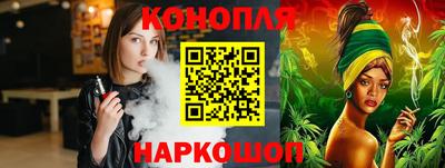мдпв Кингисепп