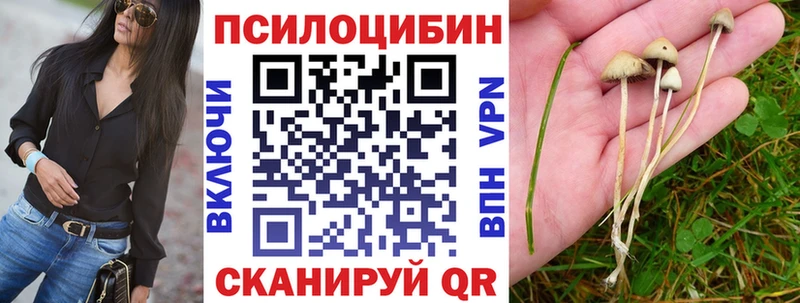 Псилоцибиновые грибы ЛСД продажа наркотиков Котельники