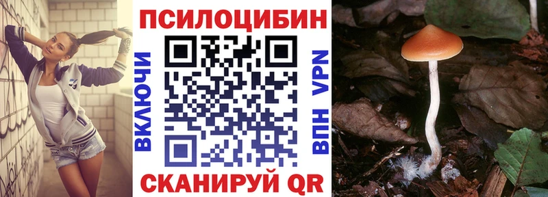 Галлюциногенные грибы MAGIC MUSHROOMS Котельники
